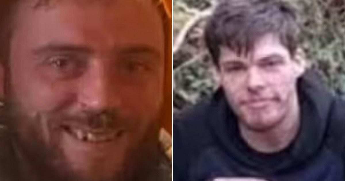 Bodies of two men missing for ten days found in car ‘hidden by undergrowth’