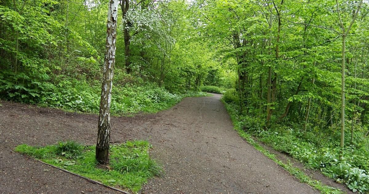 Urgent manhunt launched after boy, 4, abducted in park in front of mother