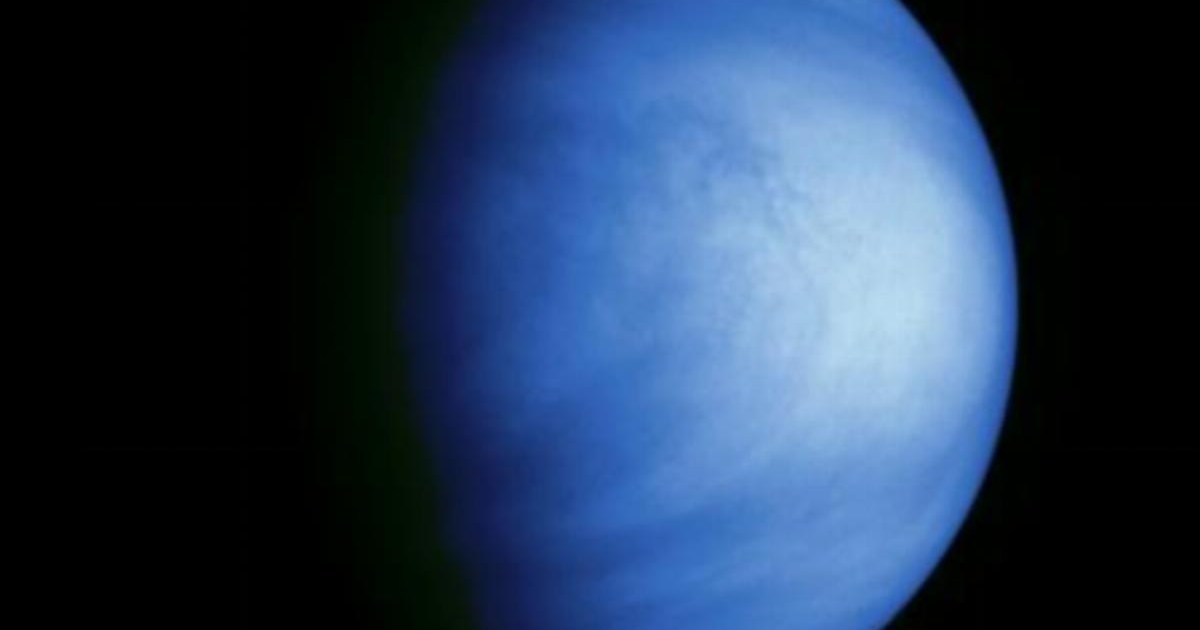 Scientists think life could exist on Venus – but came from Earth