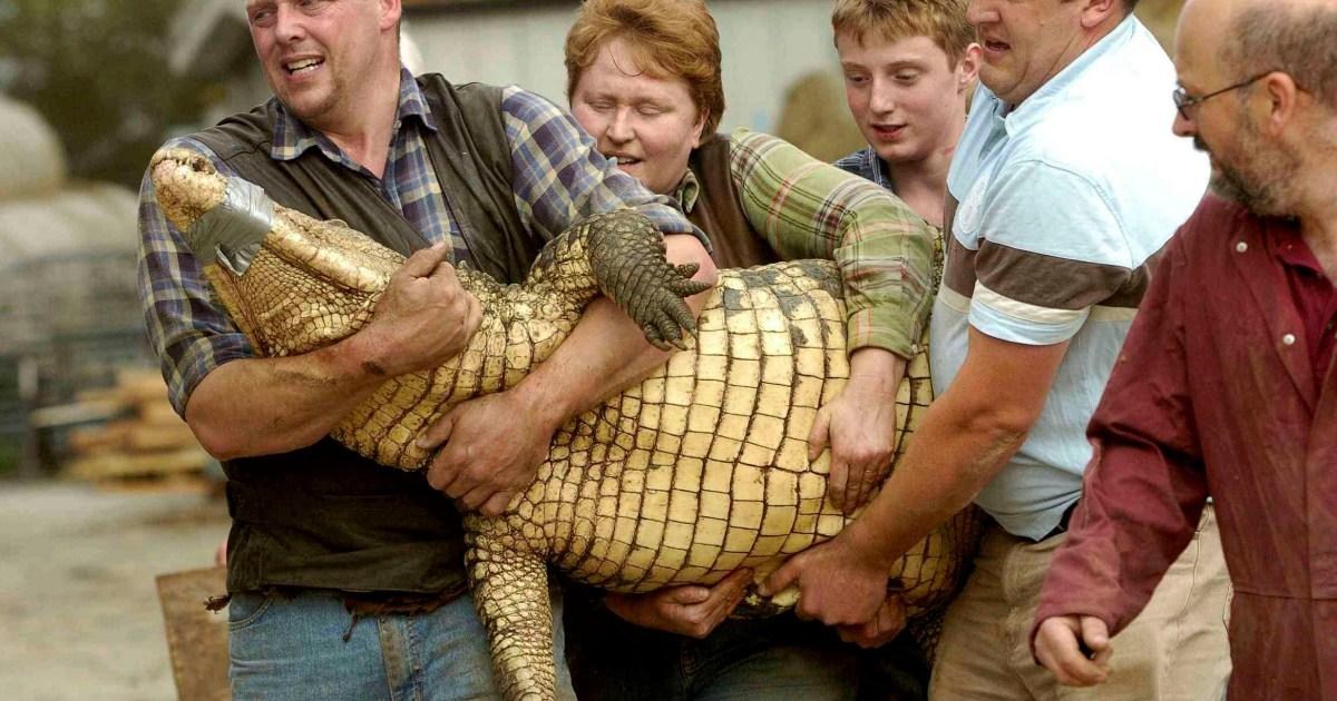 Heroic zookeeper and family jumped into crocodile pit after boy, 3, was thrown in