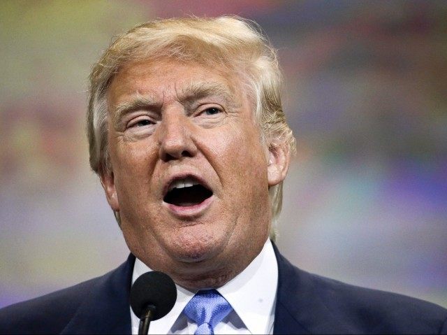 Trump performs better than Biden on top issues for voters