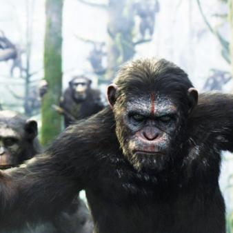 Monkey Business
