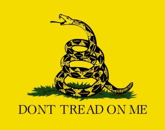 Tea Party Hackers vs. WikiLeaks?