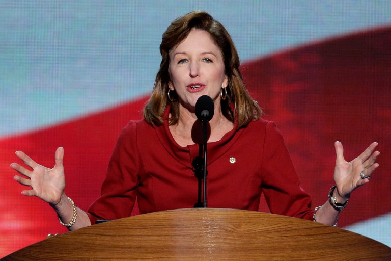 Sen. Kay Hagan of North Carolina addresses the Democratic National Convention in Charlotte, N.C., in September 2012. (AP Photo/J. Scott Applewhite)
