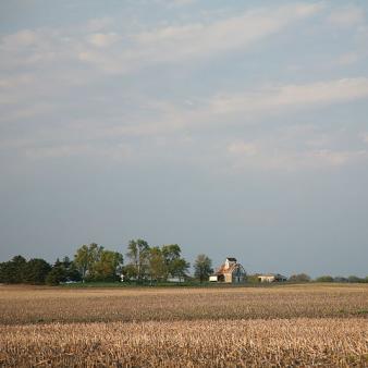 The Farming Game