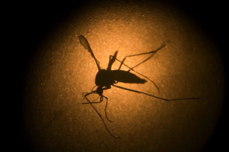 The vote sets up a showdown between the Senate and the House, which has passed a bill providing no new money for research on the Zika virus. (AP Photo)
