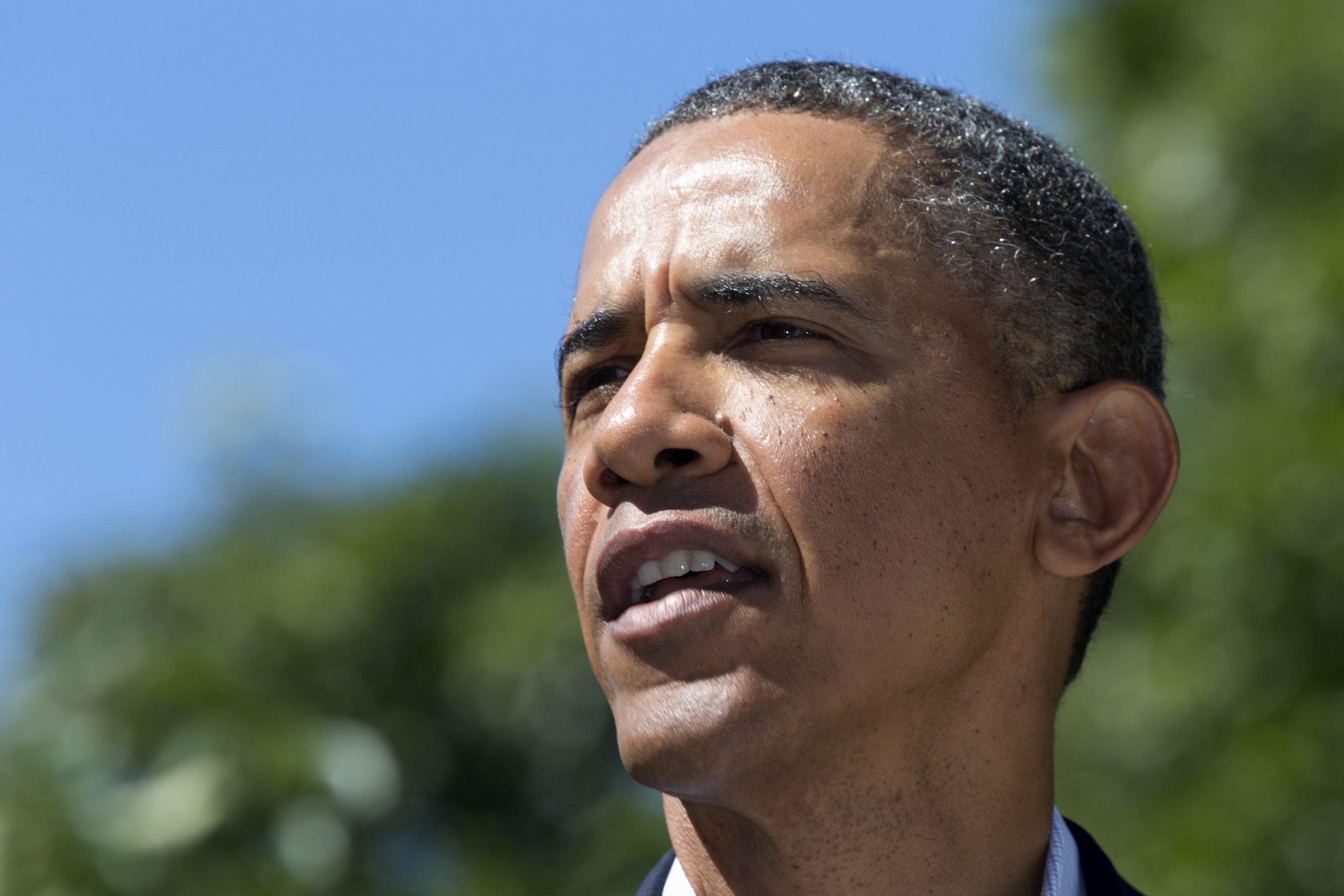 Egypt challenges Obama’s Arab Spring philosophy