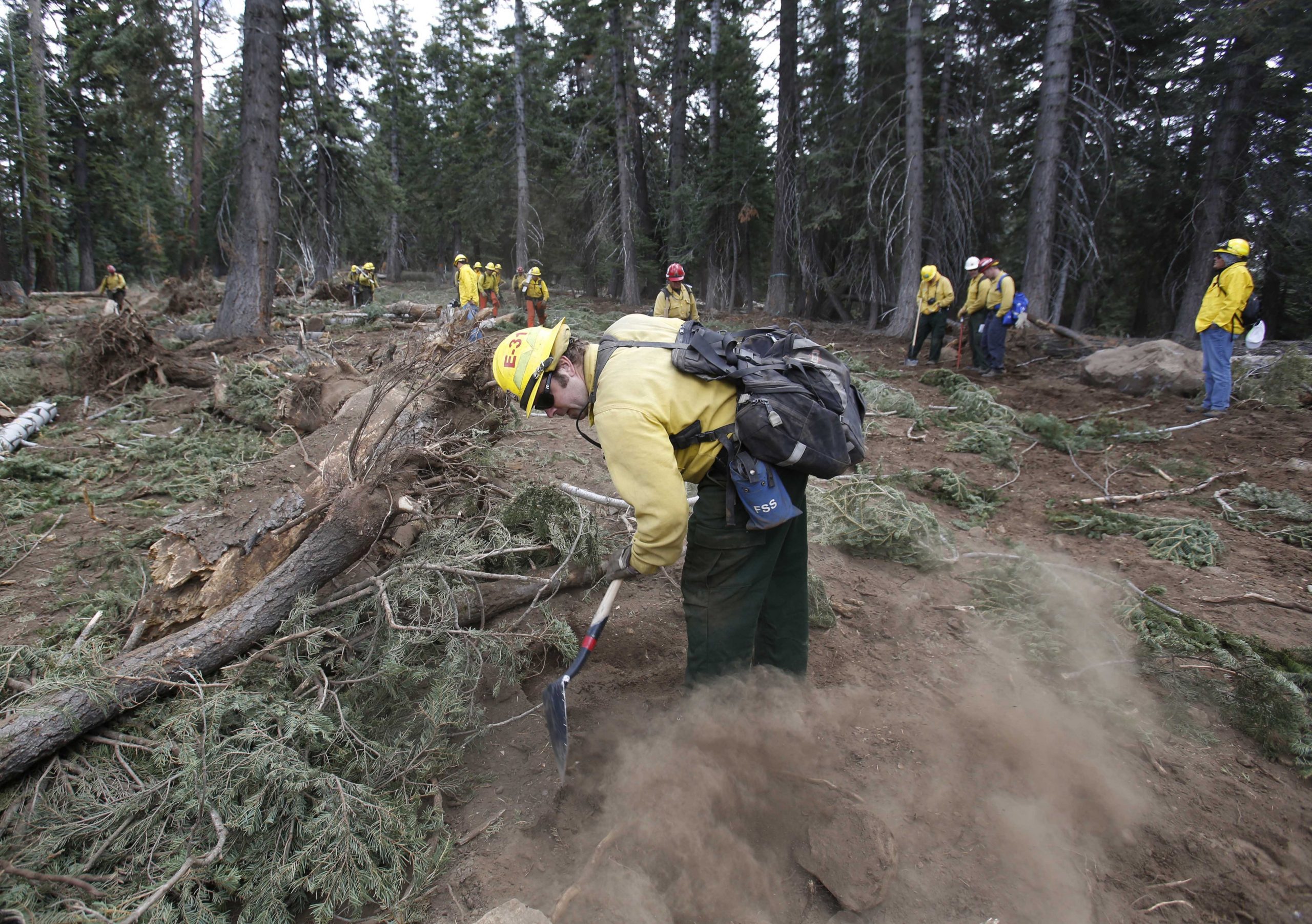 Feds allow logging after huge California wildfire