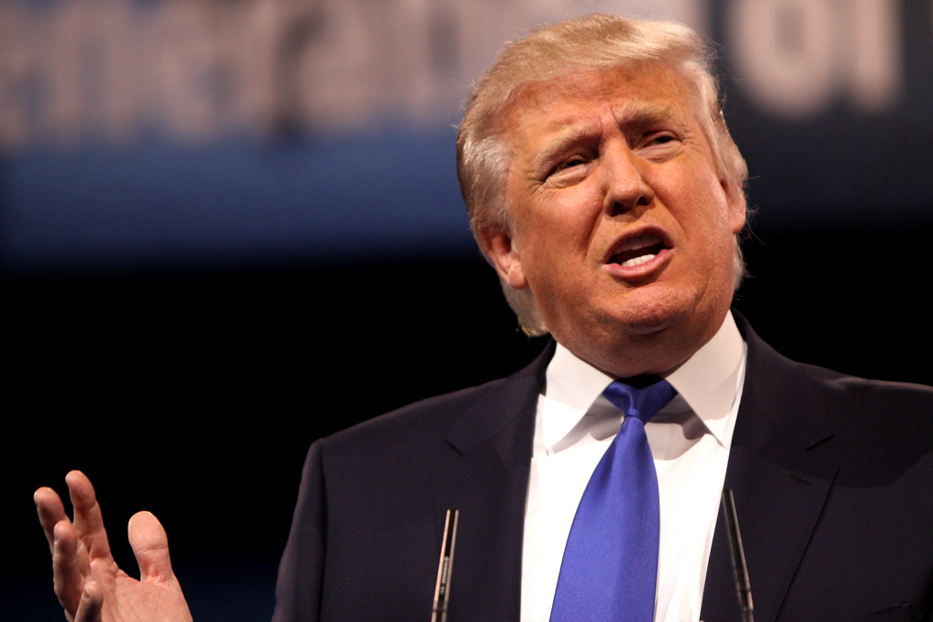 Trump Could Win, Continued