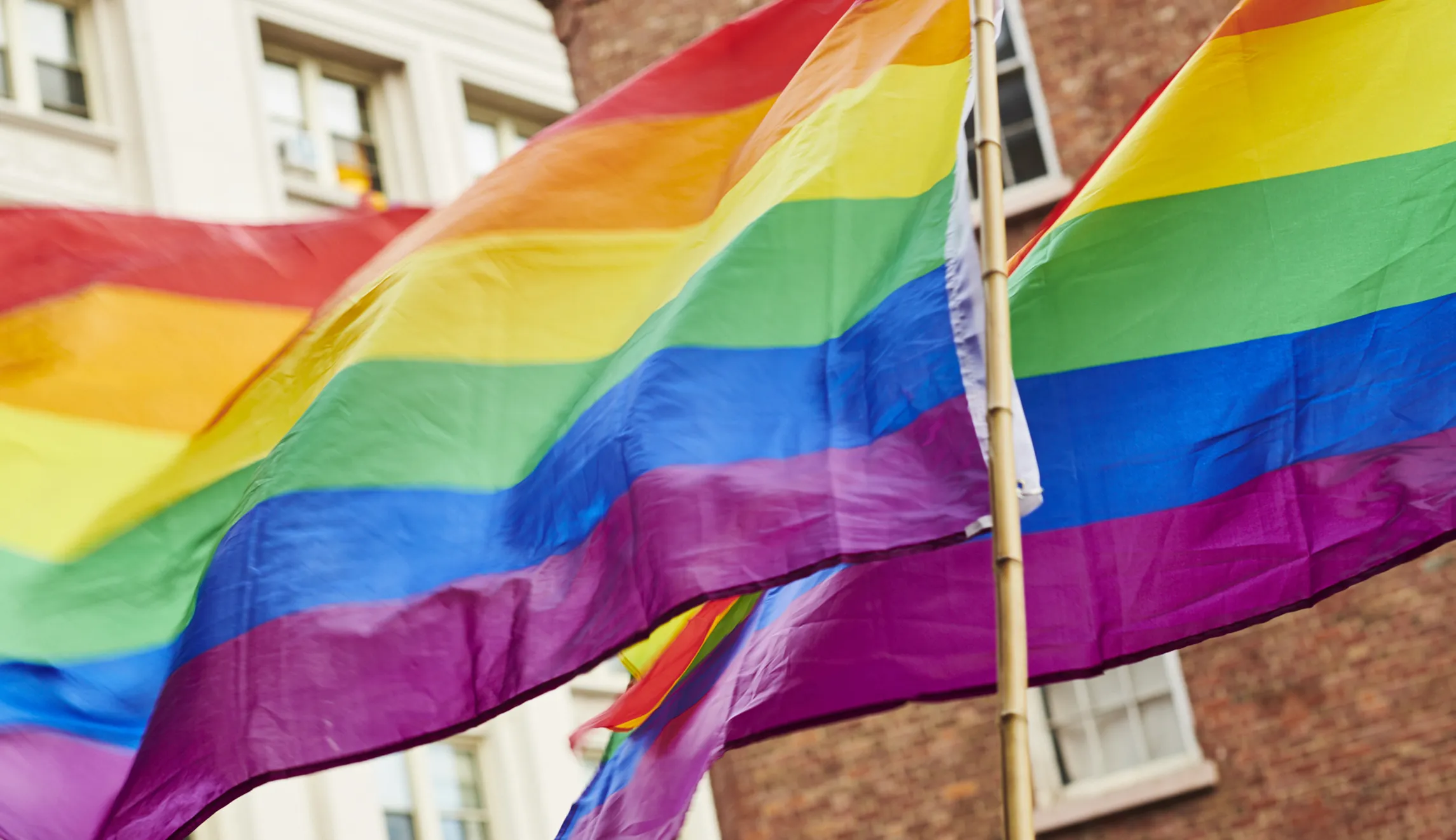 Poll finds broad support for banning classes on sexual orientation in K-3