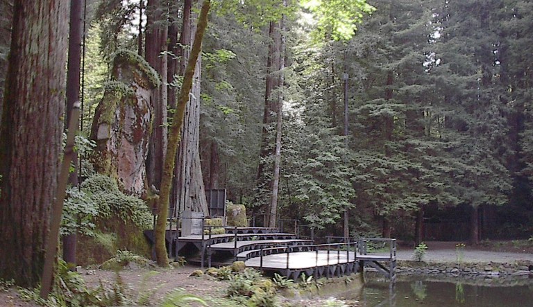 Owl shrine at Bohemian Grove