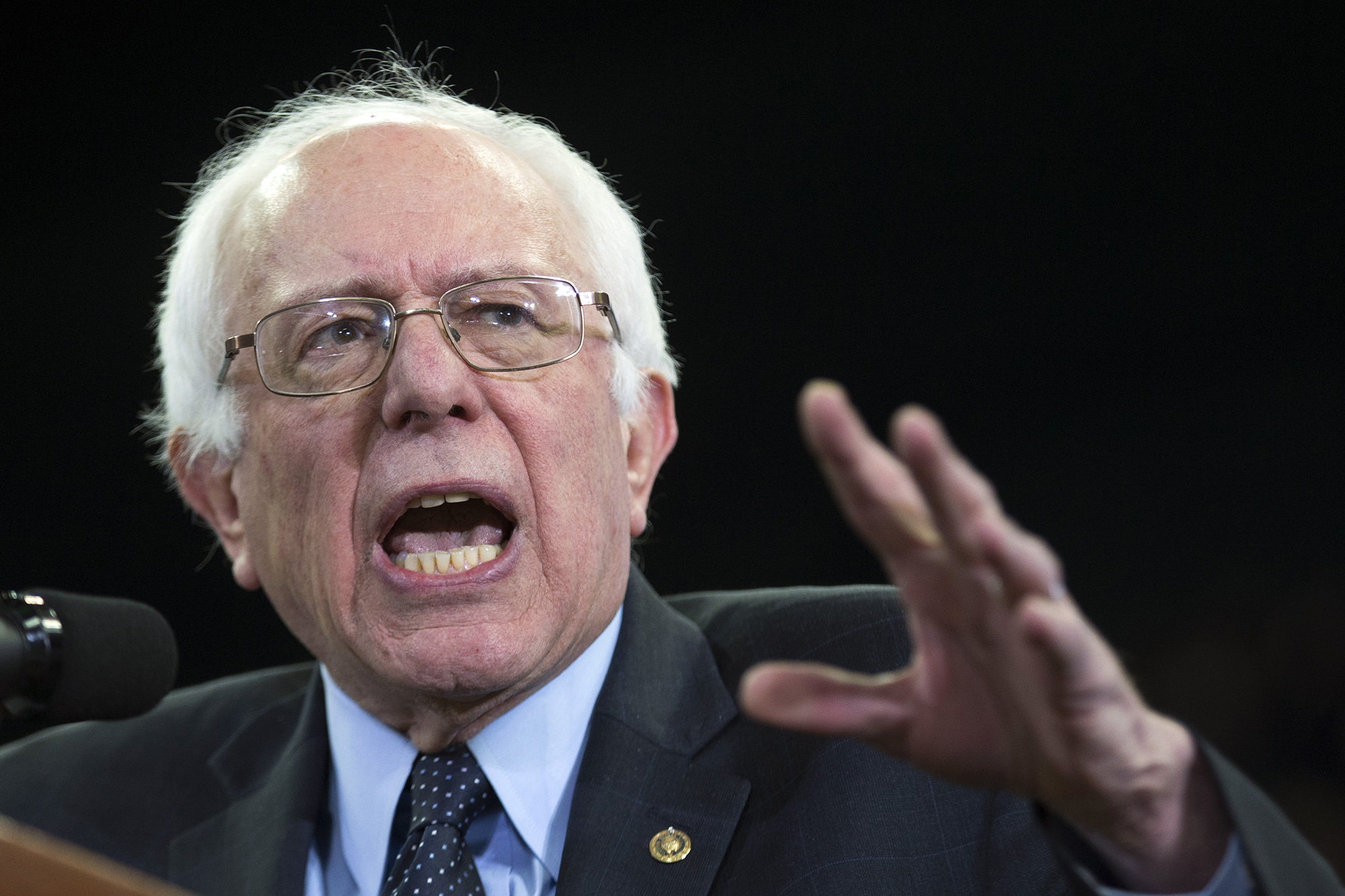 Why did Bernie snub biographer?