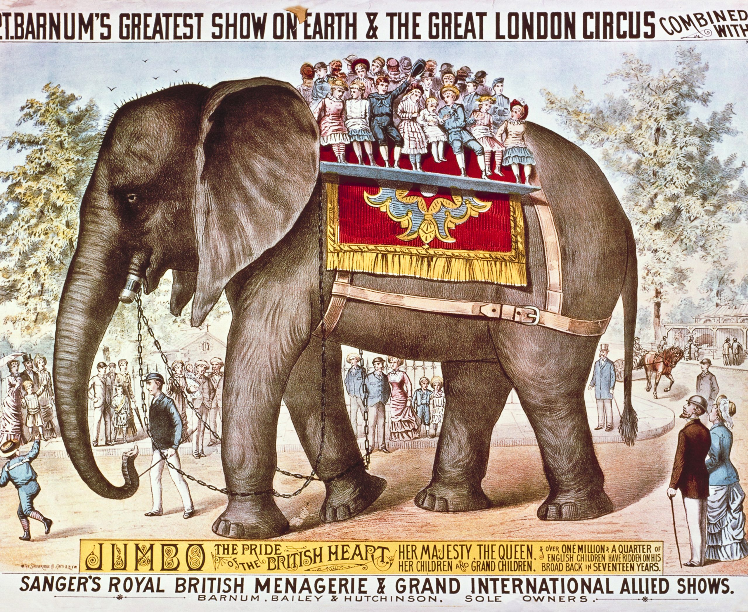 Elephants can remember