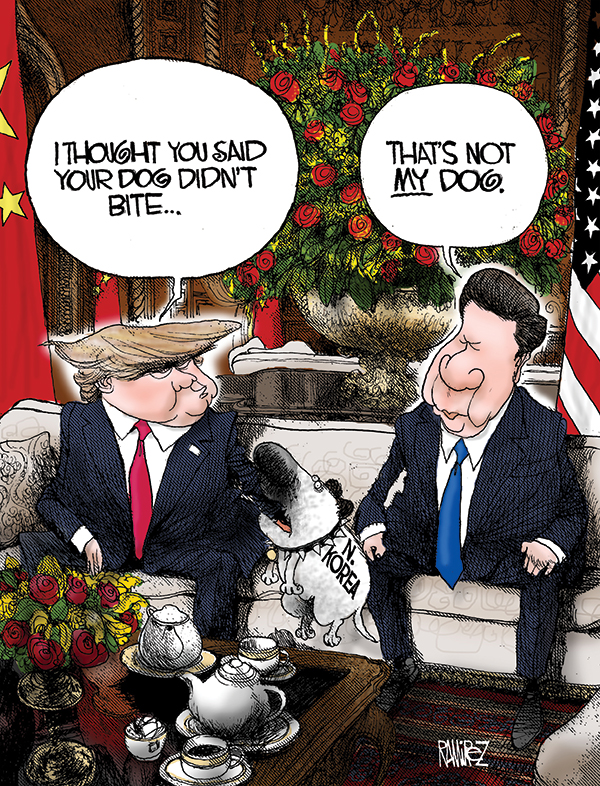 Not My Dog