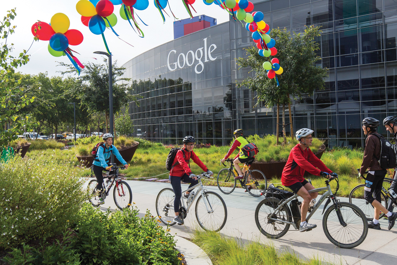 The Google Monoculture