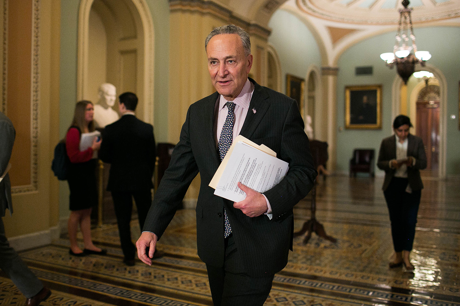 Democrats name Schumer their new Senate leader