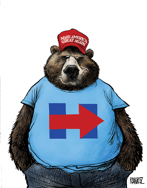 Meddling Bear
