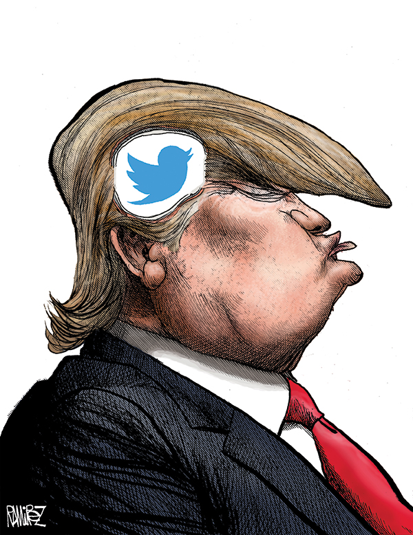 Bird Brain