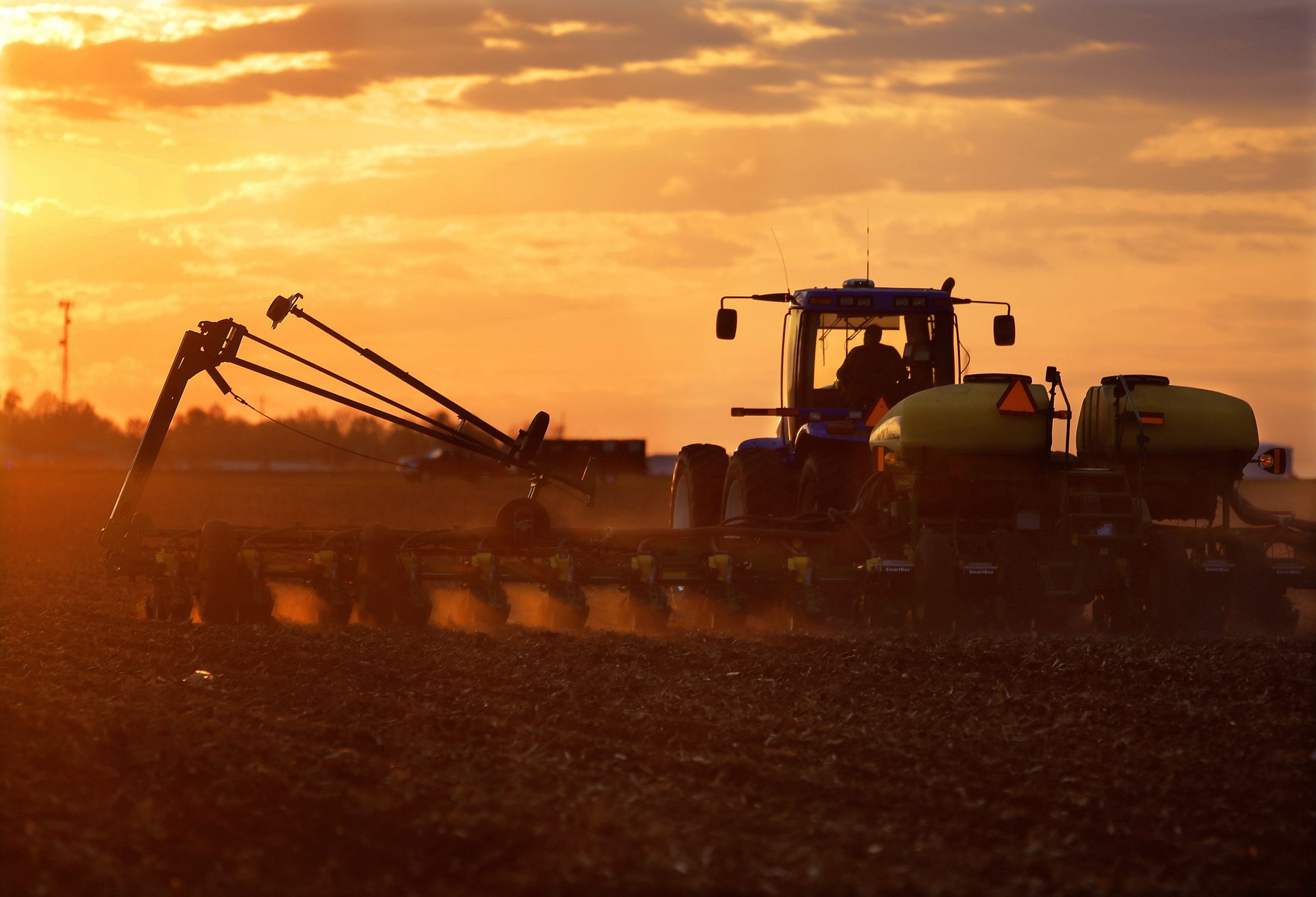 The Produce Cartels