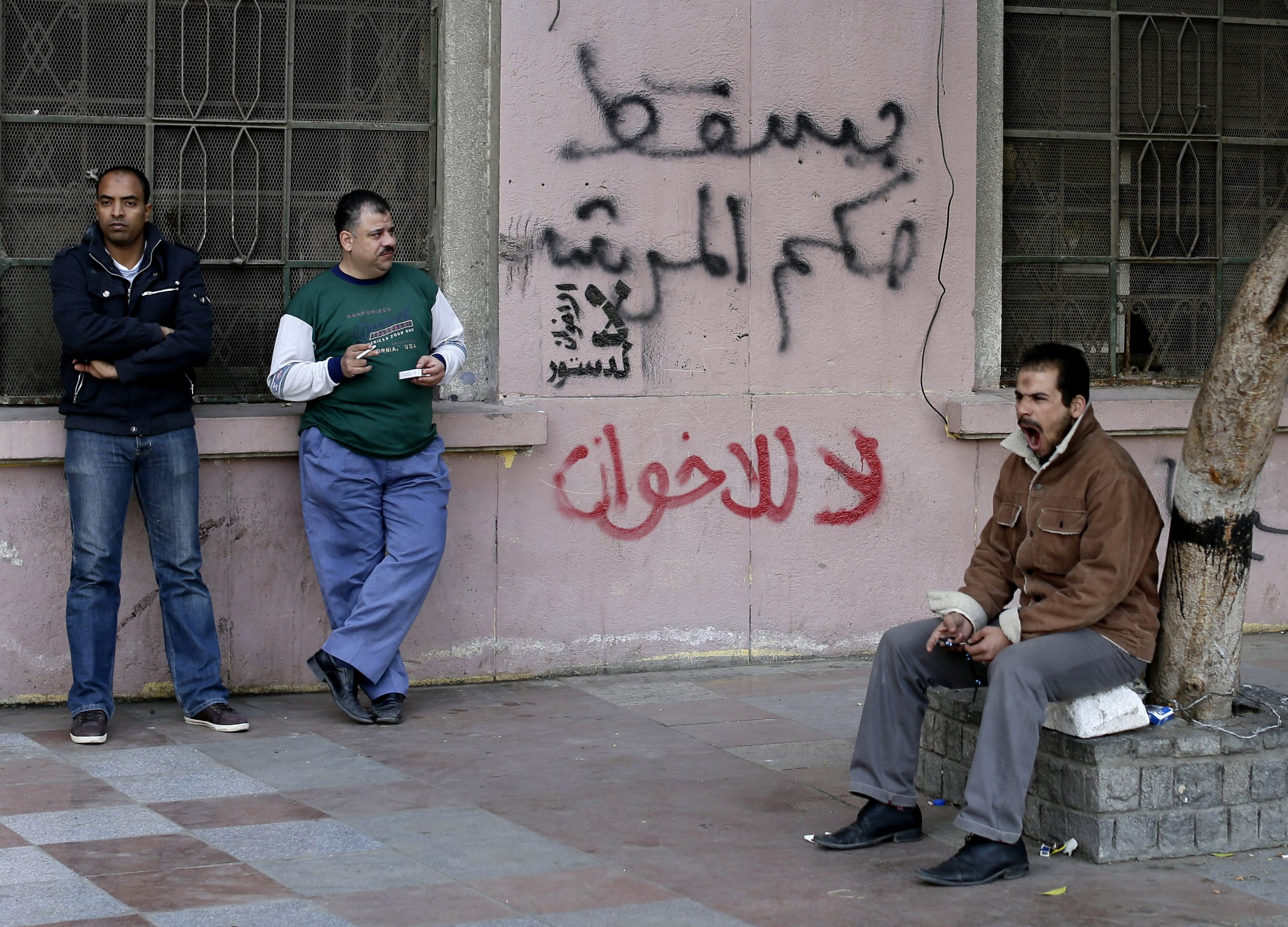 Islamist-leaning draft constitution divides Egypt