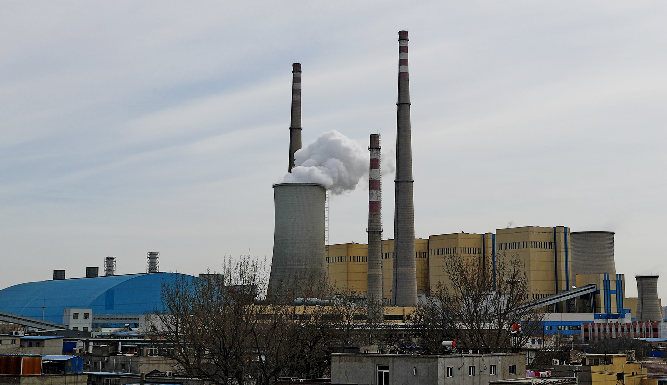 Xi Jinping reaps a cold wind