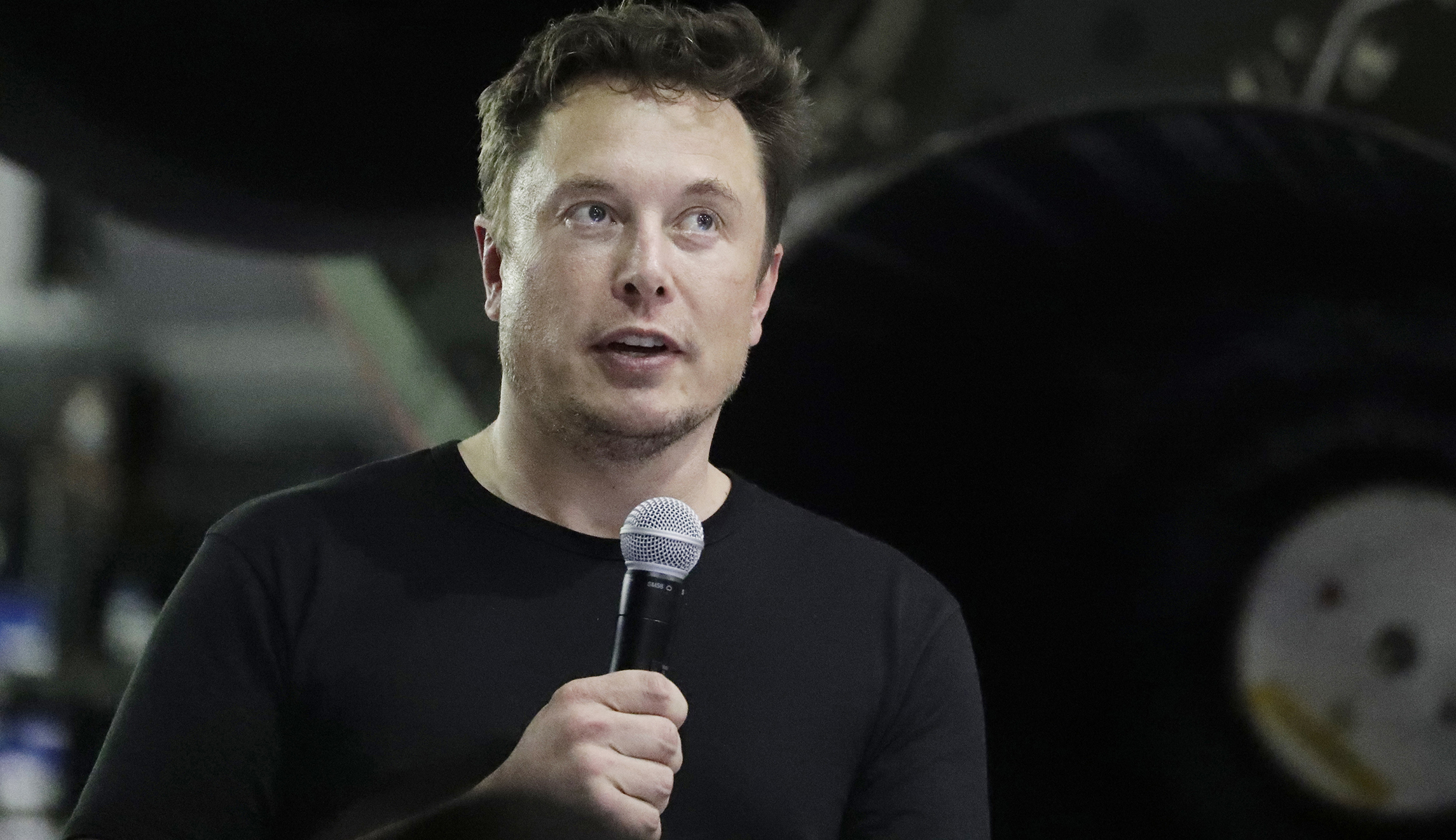 What did we do to deserve this? Elon Musk released a rap about Harambe