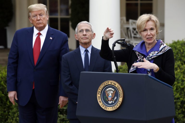 Rand Paul and Andy Biggs accuse Fauci and Birx of trying to ‘corral our freedom’ with coronavirus guidance