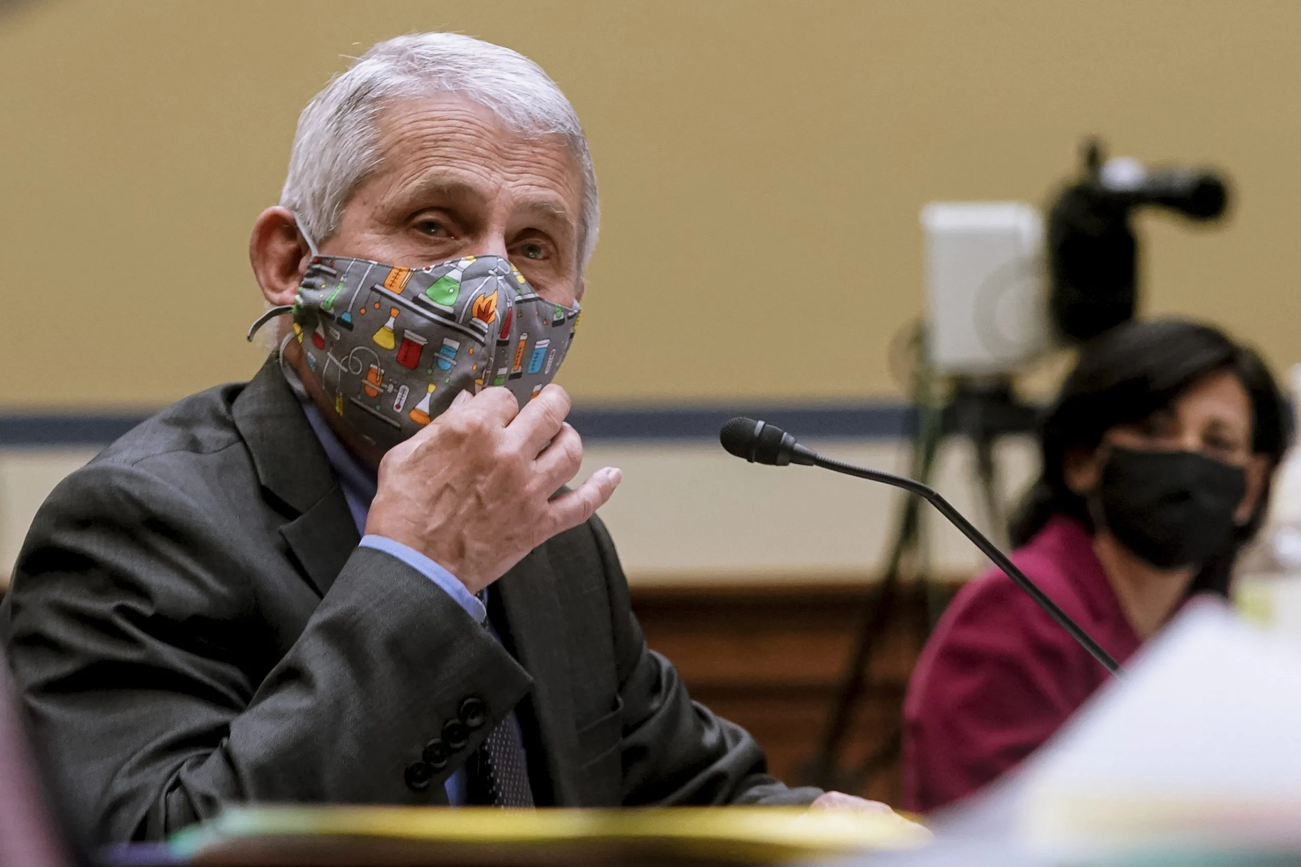 Fauci, the NIH, the Wuhan lab, bats, and COVID-19: Everything you need to know
