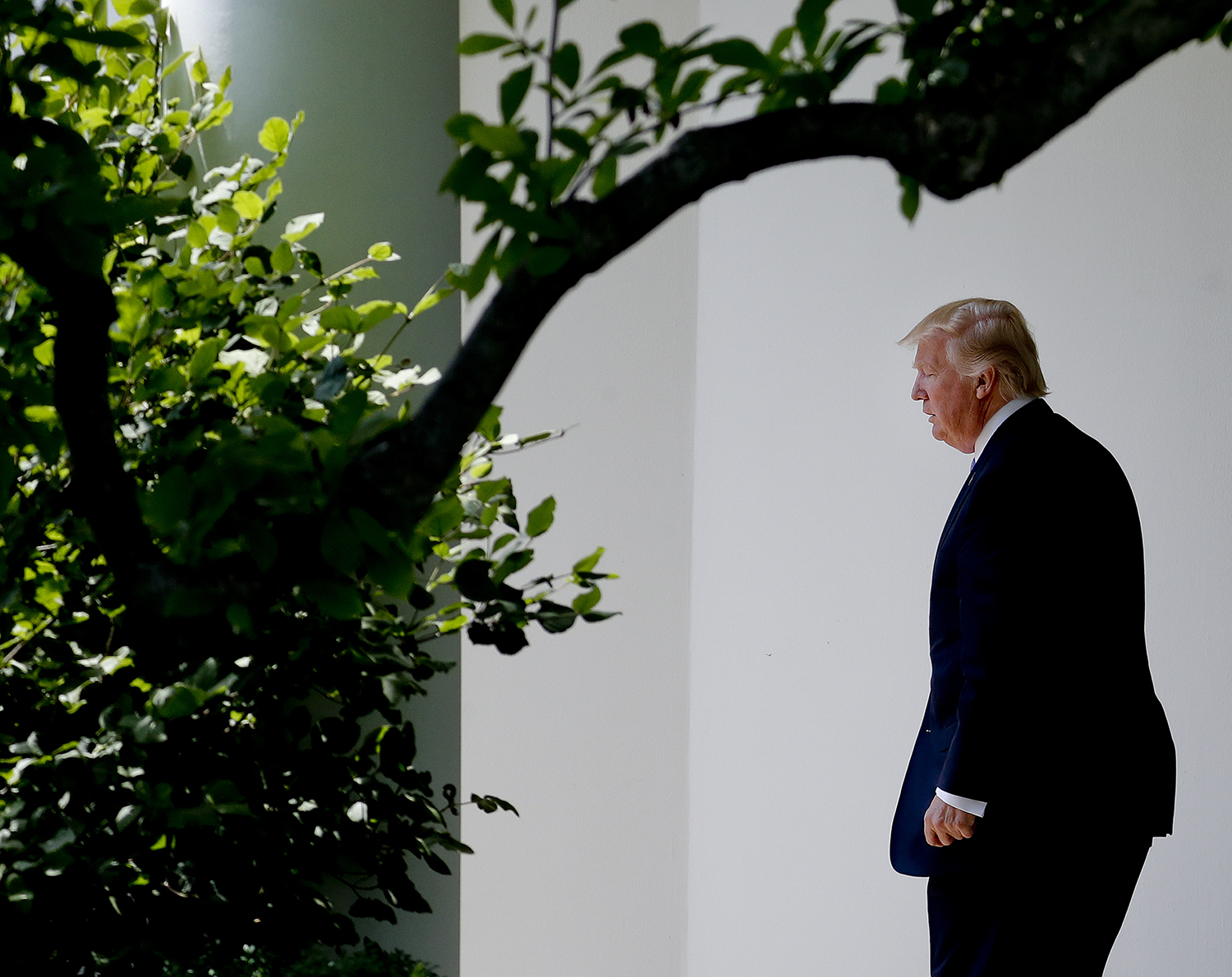 Donald Trump’s week from hell