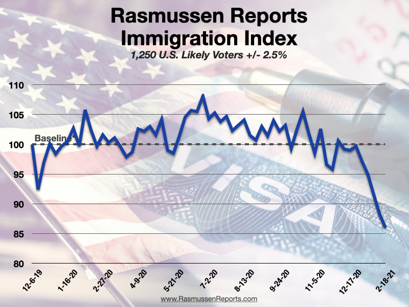 imm index.jpg