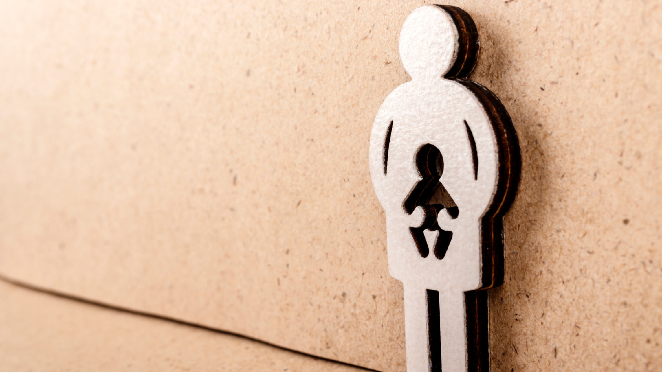 Blueprint for a post-Roe America