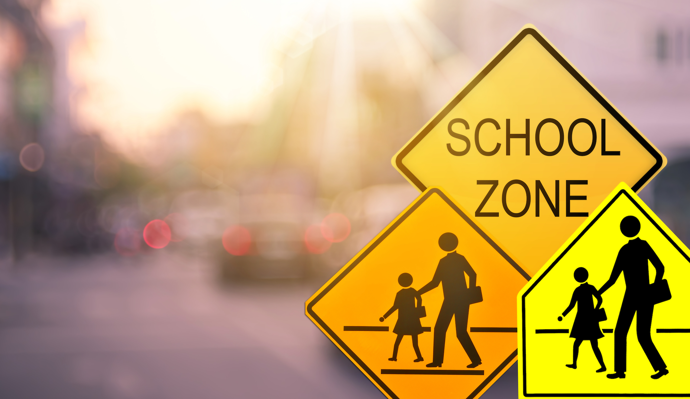 Majority opposes opening schools in the fall: Poll