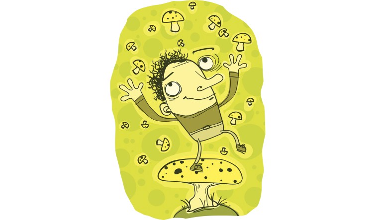 A shroom solution?