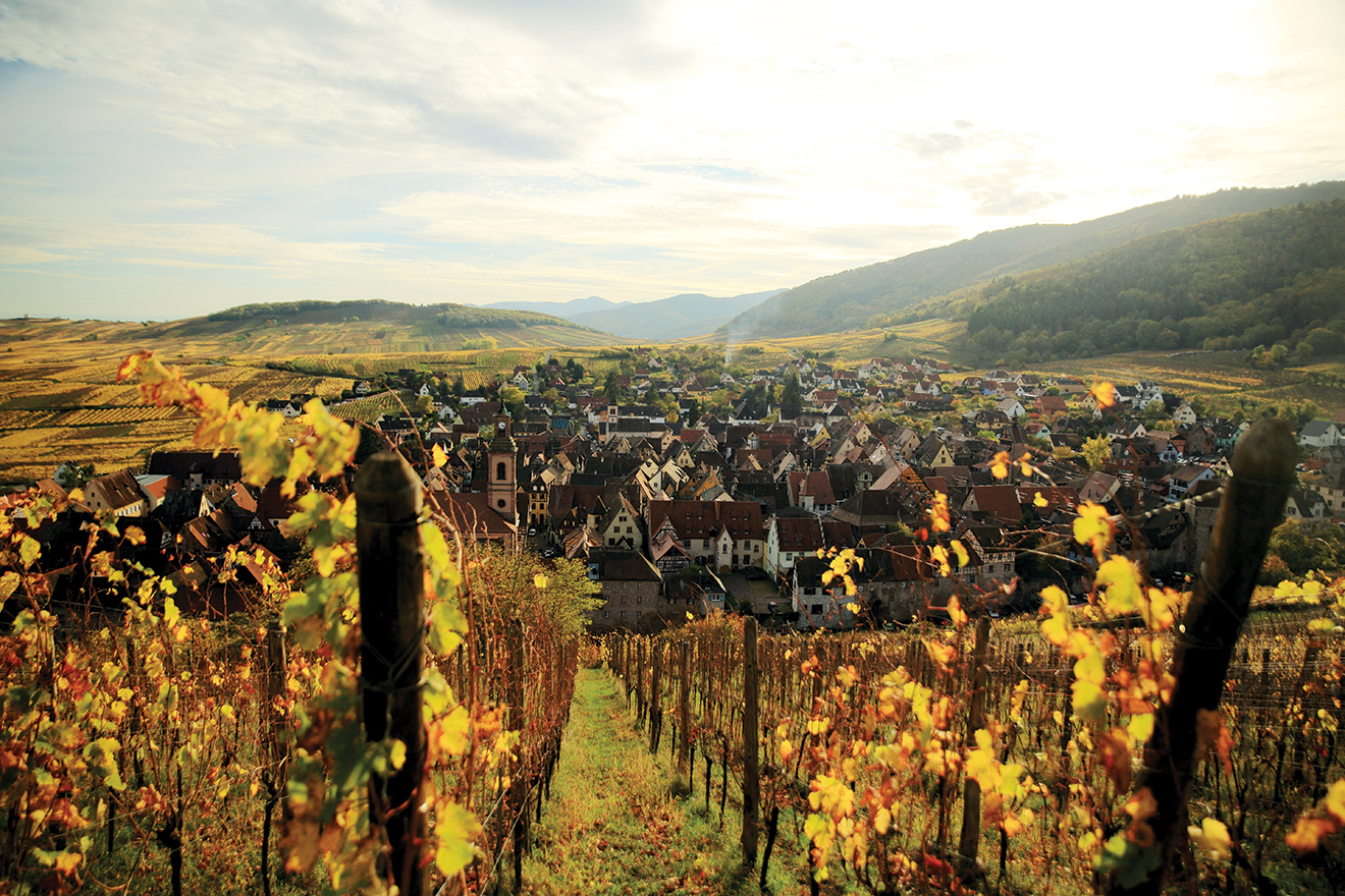 A Glass of Alsace