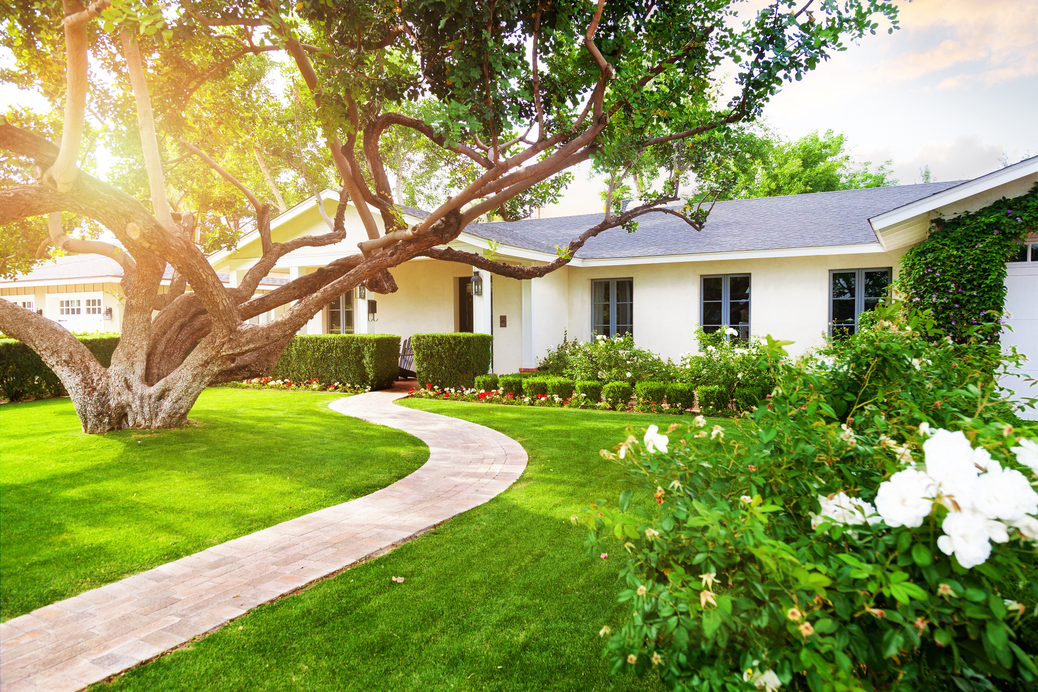 The comforts of home
