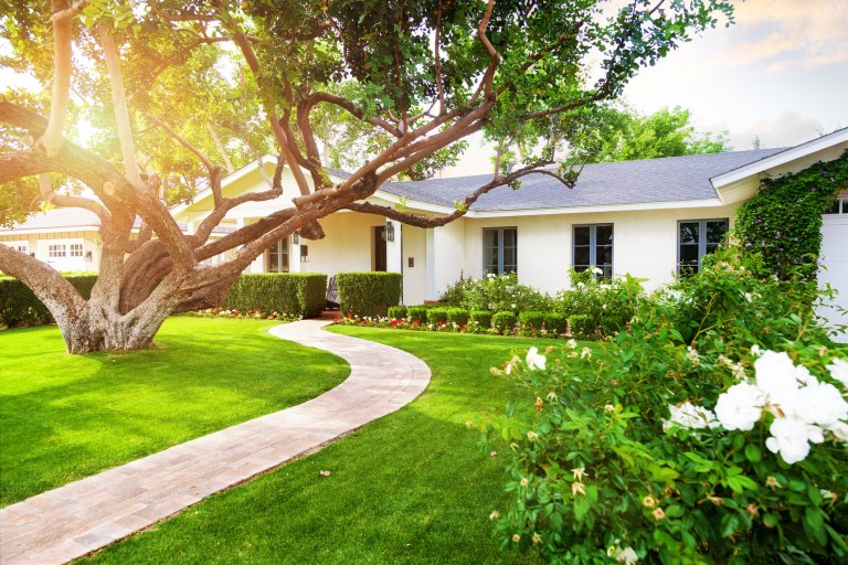 The best homes are living things. They welcome us back, hold our memories, and evolve with us. (iStock by Getty Images)