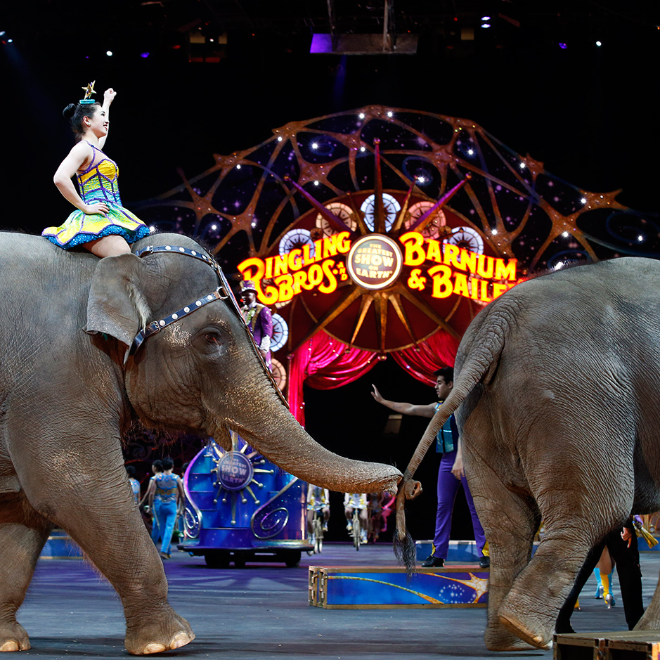 Circus at Sunset