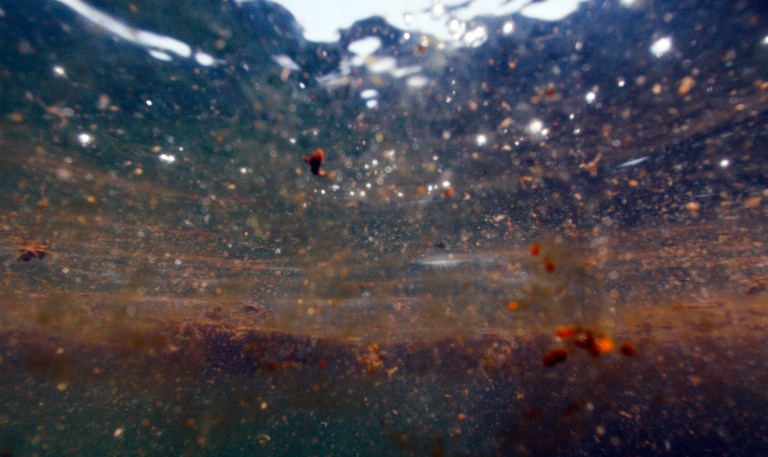 The Deepwater Horizon spill occurred in 2010 and dumped nearly 5 million barrels of oil into the Gulf. (AP Photo/Rich Matthews, File)