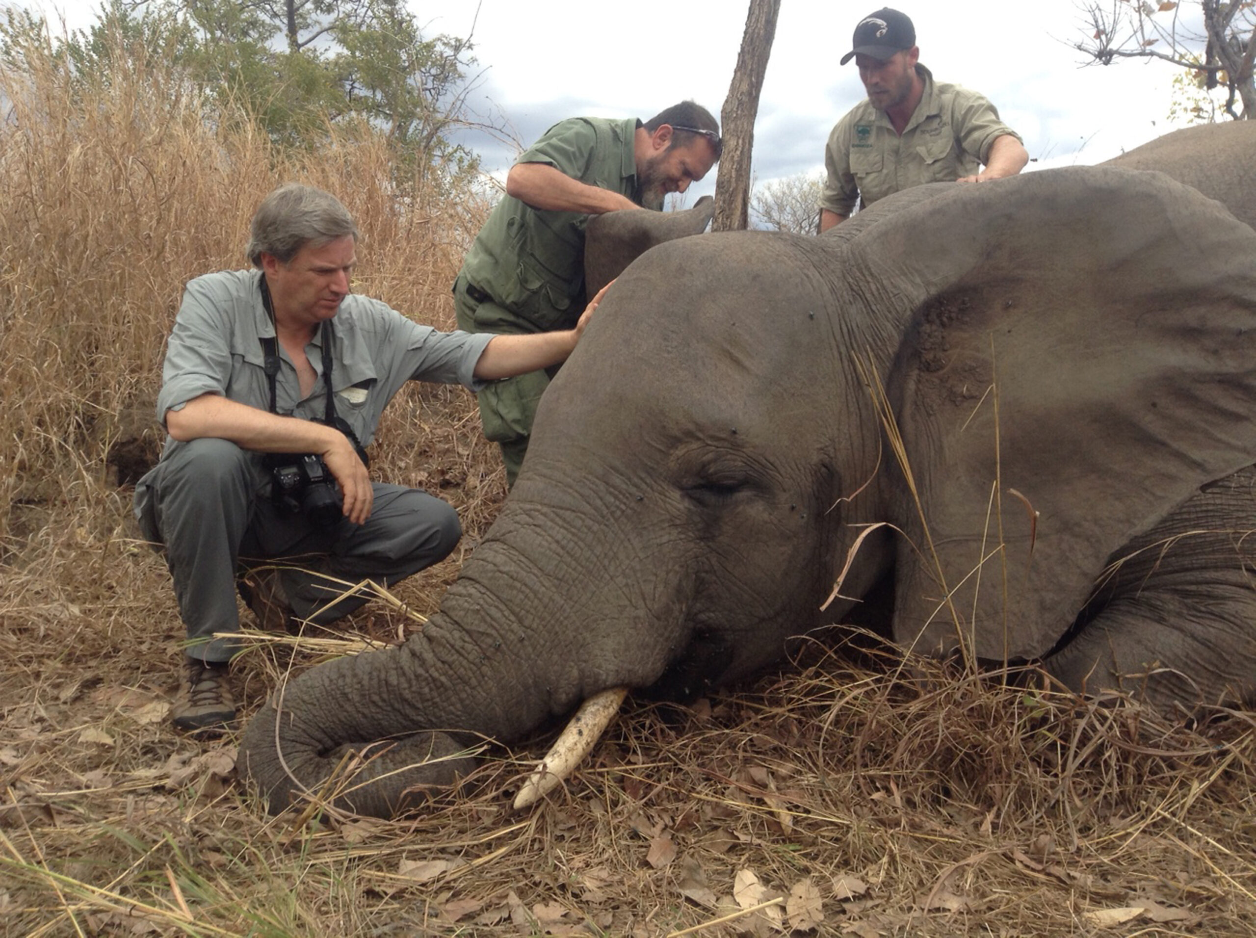 Bans on trophy hunting will do nothing for conservation