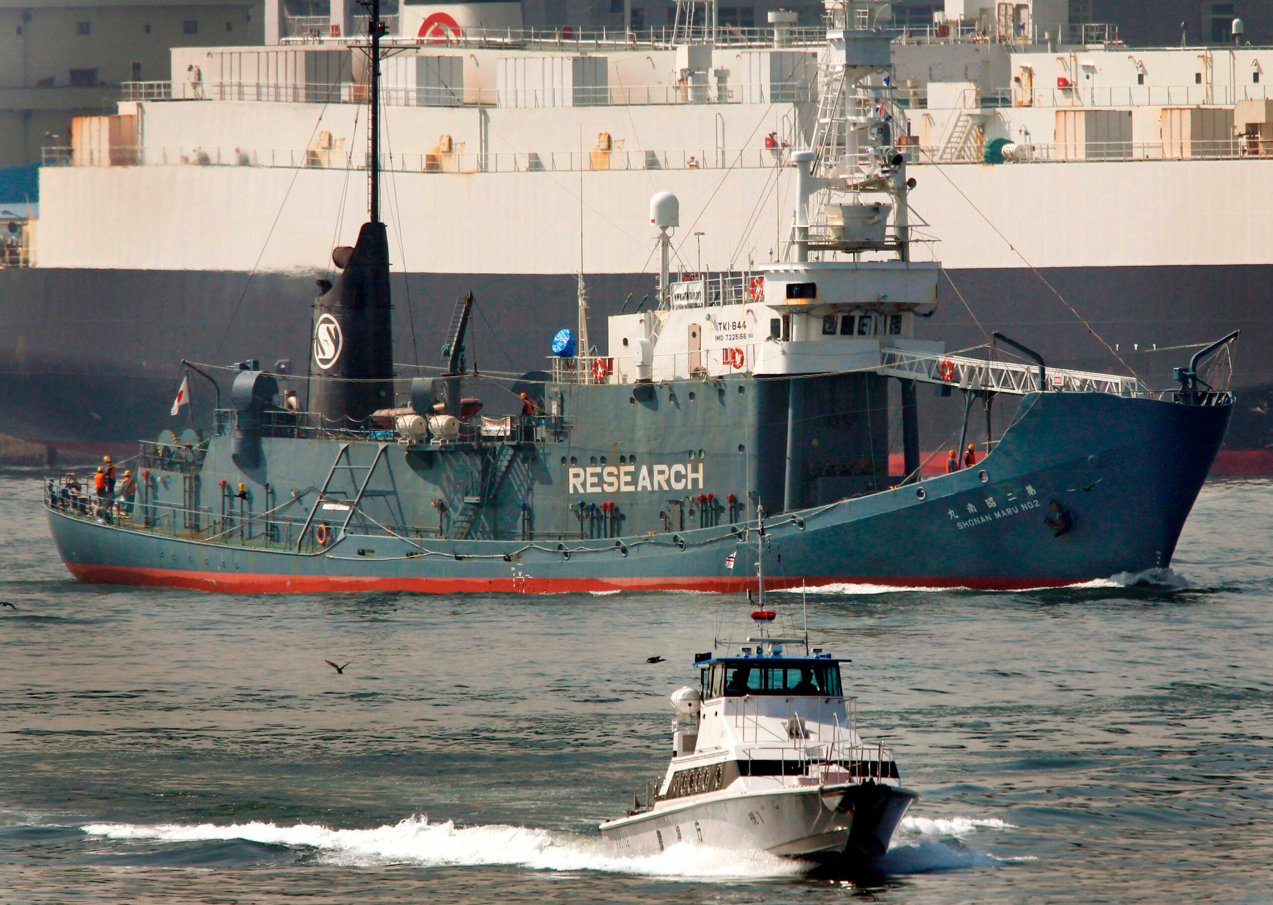 Obama condemns Japan for whaling