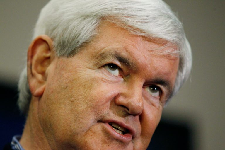 Author Quin Hillyer claims former House Speaker Newt Gingrich, above, is guilty of the same sin as liberals who claim conservatives caused attempted assassination of Rep. Gabrielle Giffords, D-AZ. 