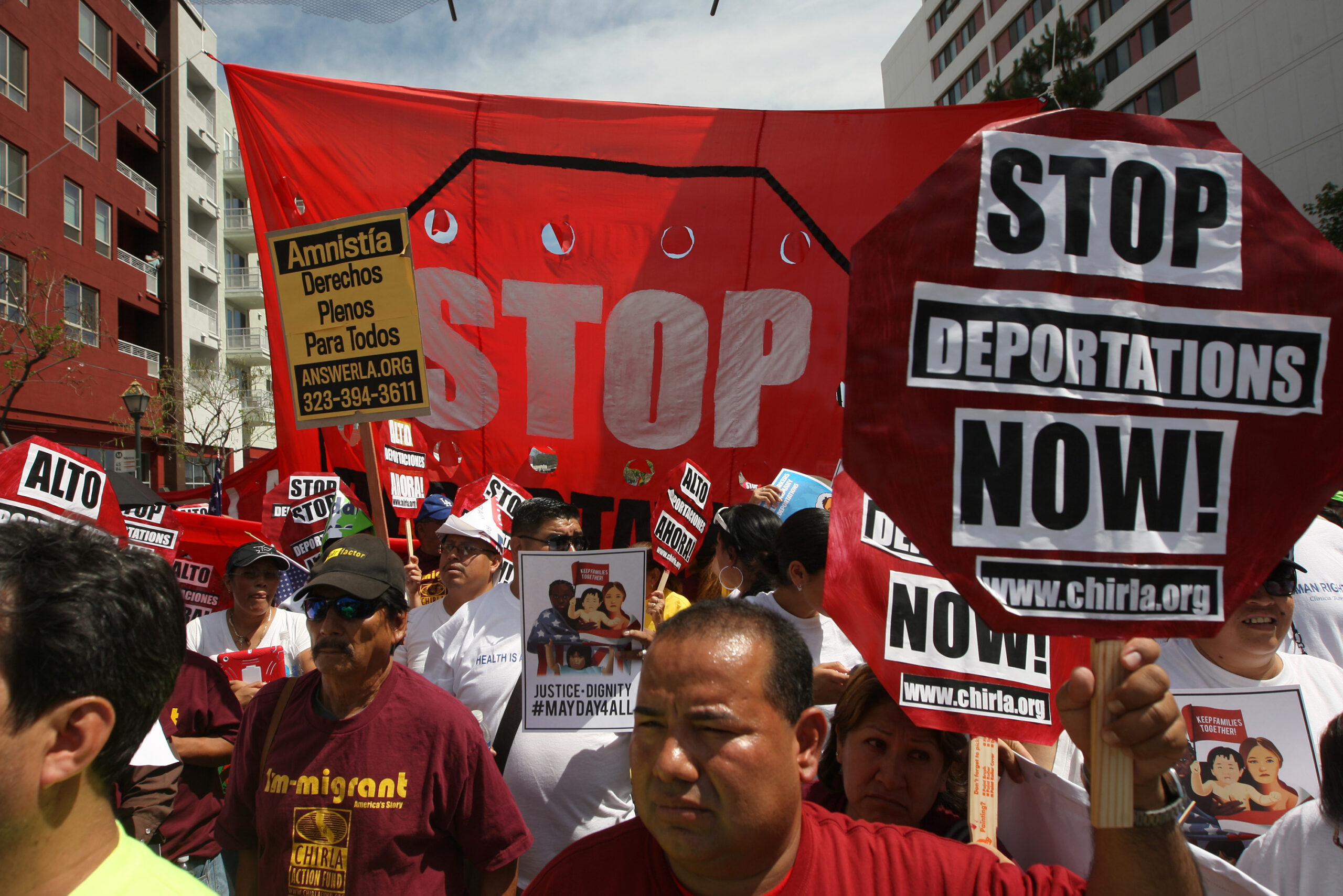 What drives left-wing immigration policy?