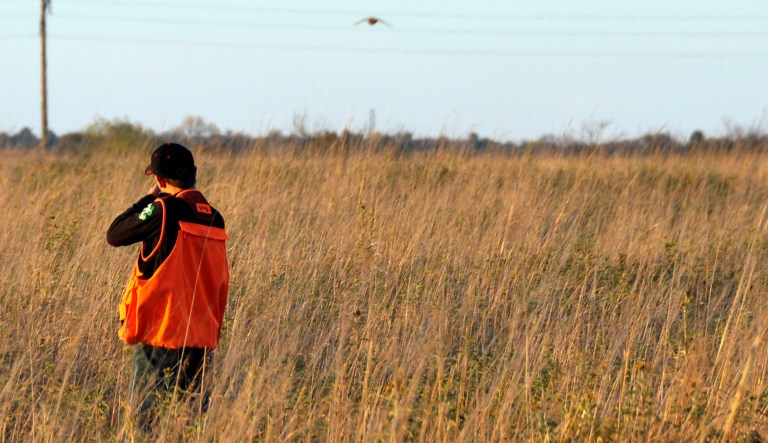Wildlife hunter shot while on South African reserve