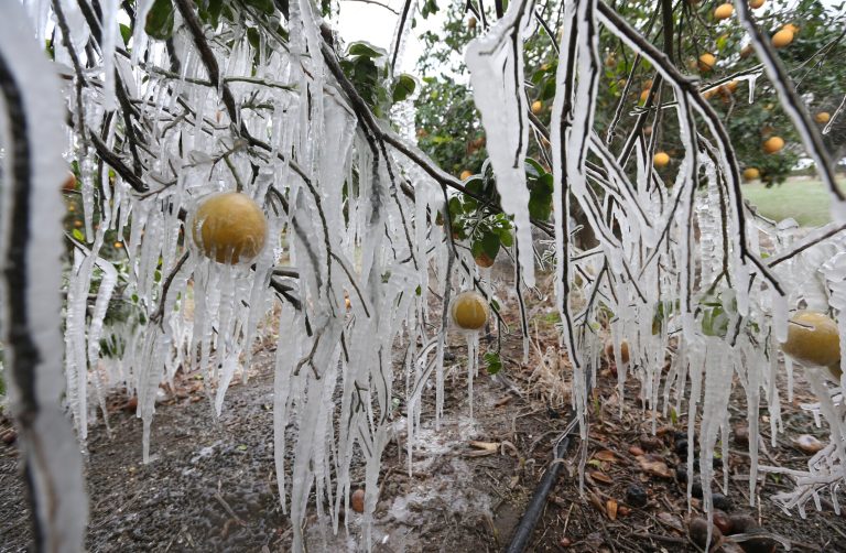 Federal and state governments launch investigations into power grid failures from extreme cold