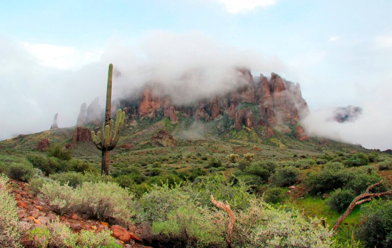 Hiker dies after selfie-related accident on Arizona trail
