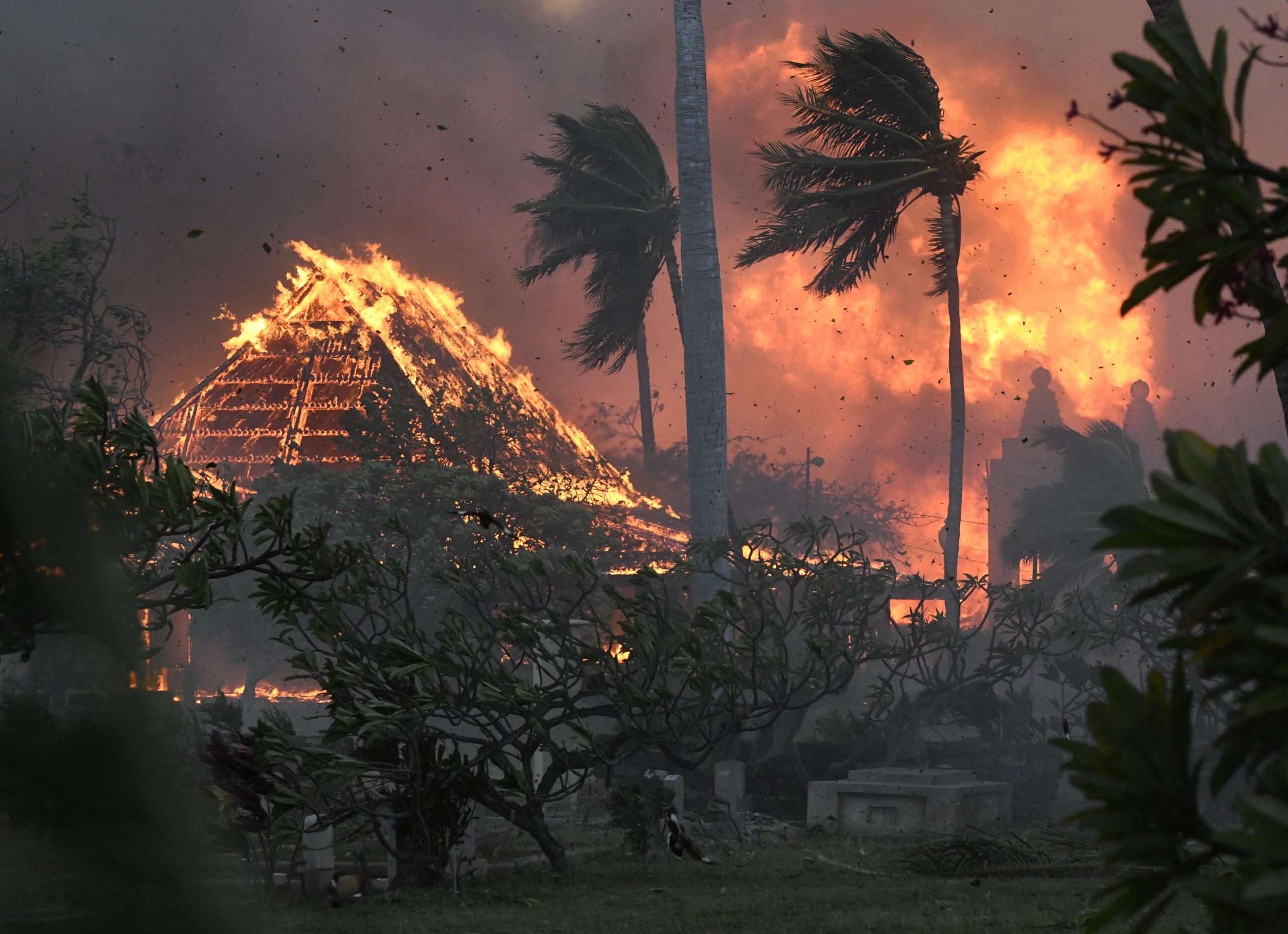 Hawaii Fires Photo Gallery
