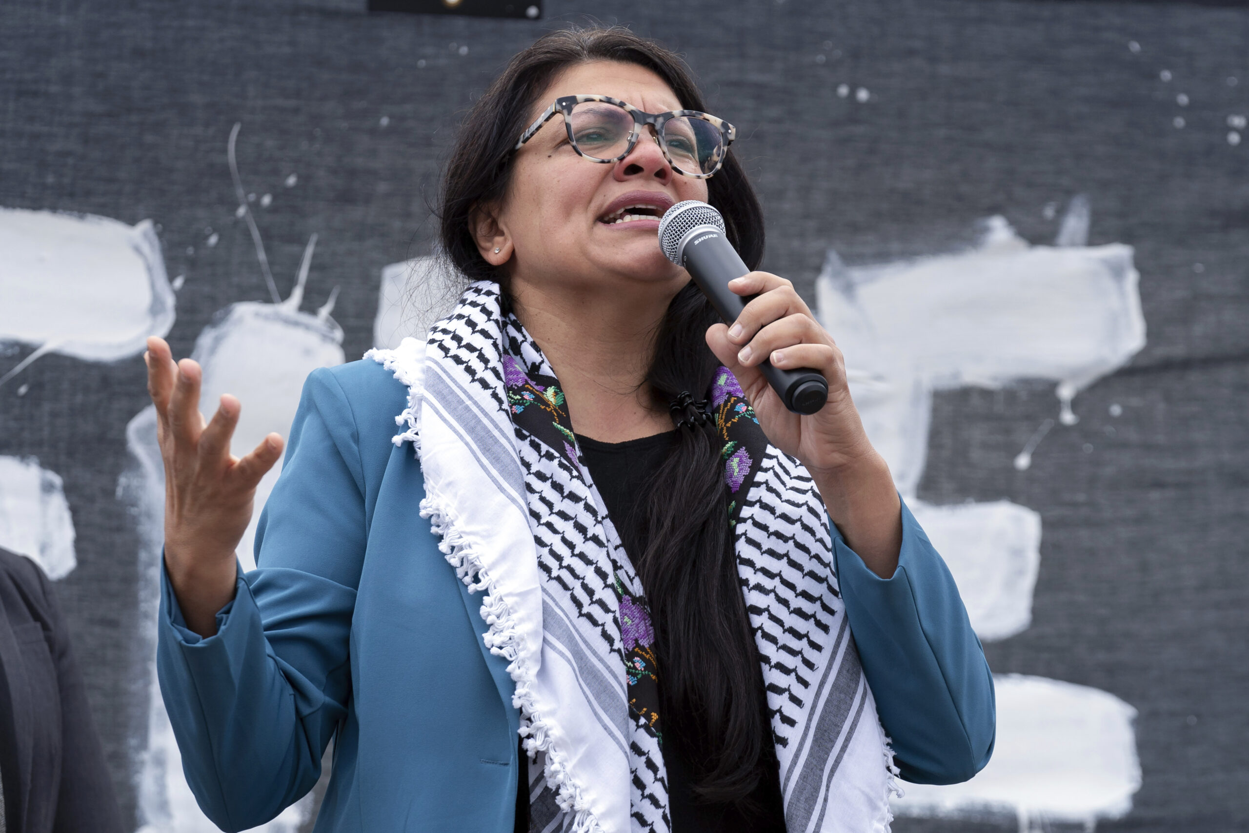 Democratic Senate hopeful accuses pro-Israel donor of offering $20 million to primary Tlaib