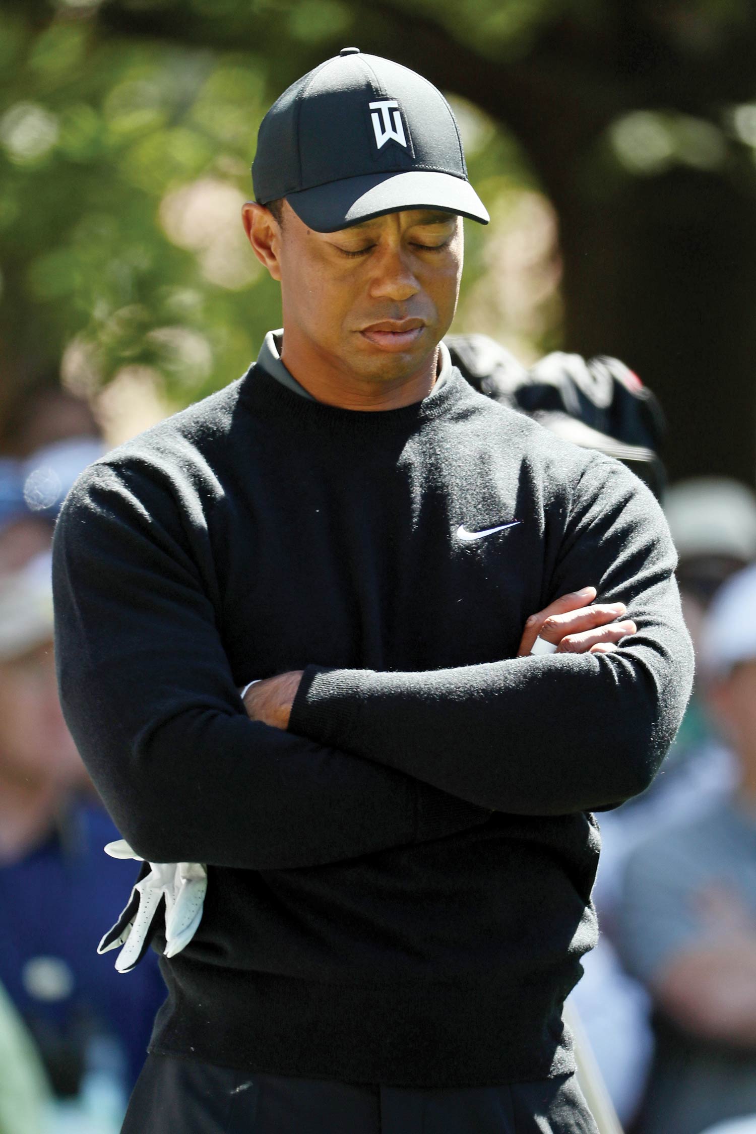 Tiger and the Cubs