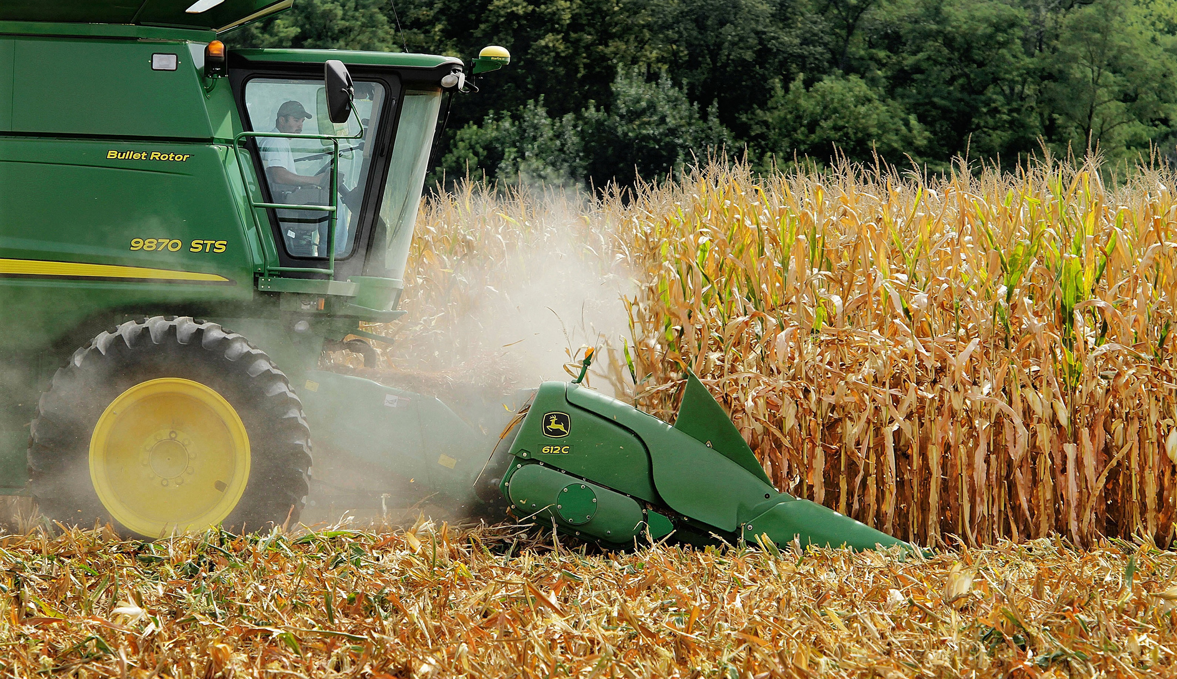 ‘There’s so much corn!’