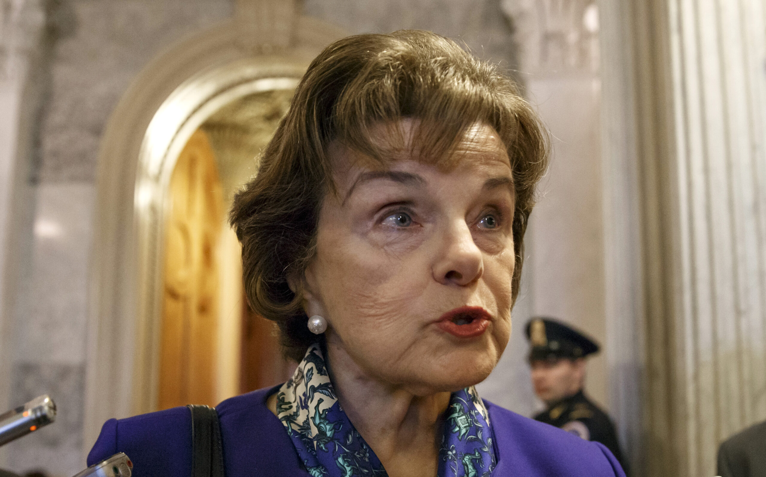 Feinstein: ‘Lone wolf’ attacks all part of ‘one big problem’